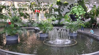 Devonian Gardens Calgary Alberta 🇨🇦 [upl. by Artemahs]