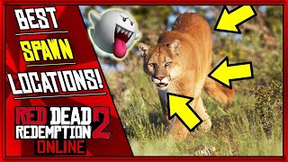 NEW Red Dead 2 Online Cougar Spawn Locations and Respawn Method [upl. by Cud]