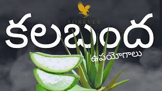 Aloe Vera uses in Telugu [upl. by Beauregard]