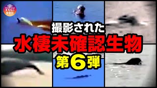 【映像】撮影された水棲未確認生物 第6弾 [upl. by Gilpin]