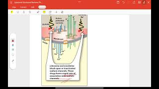 Pharmacology Lecture 71 Antiarrhythmic pharmacyjobs jobsearch dha sple exam [upl. by Aicilas]