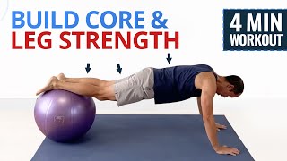 4 Minute Core amp Leg Stability Ball Workout [upl. by Cony]