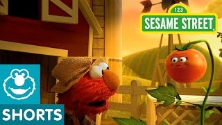 Sesame Street Tomato Musical Preview  Elmo the Musical [upl. by Baler578]