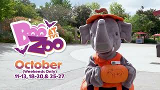 Fall at the Columbus Zoo 2024 [upl. by Tani]