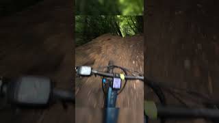 ebike dirt jumps through the trees at Danbury [upl. by Geralda]