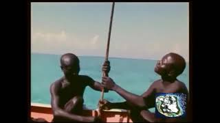 2018  Indian Ocean  North Sentinel Island  The Most Isolated Stone Age Tribe in the World  2311 [upl. by Ardnos]