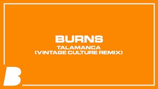 BURNS  Talamanca Vintage Culture Remix [upl. by Vange]