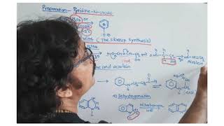 Preparations of PyridineNOxide and Quinoline by Skraup synthesis [upl. by Eusoj]