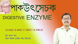 enzyme in bengali digestive enzyme bengali  neet wbcswbbselife science class 9ptyalinpepsin [upl. by Llecrup]