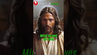 Mateo 6 25 26 Nos os afanéis video viral viralvideo youtube dios jesus biblia fe [upl. by Ained206]