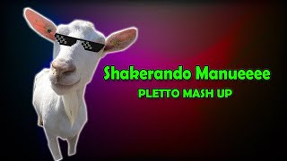 Shakerando Manueeee Pletto Remix [upl. by Aihsyn608]