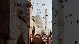 Beautiful Islam shorts islam religion reels viralshorts ytshorts [upl. by Ailiec654]