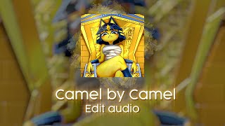 Camel By Camel  Edit audio ankha zone [upl. by Mannes]