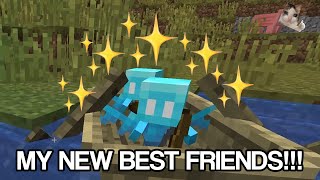 Meeting allays for the first time EVER ✨  Minecraft Survival 3 [upl. by Zacherie804]