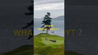 ⚠️UNBELIEVABLE Whale Wrecks Golf Game [upl. by Cherrita]