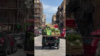 Go le marché de Palerme🤣🤣🤣🤣🇮🇹👍palerme [upl. by Lemmueu]