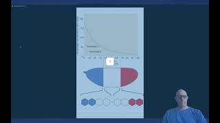 Positional information The French flag model [upl. by Marlene]