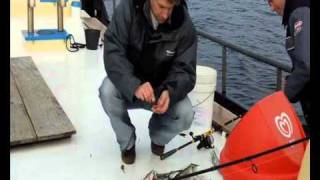 Pure Fishing Topvisser Tour  Grevelingen [upl. by Nyad]