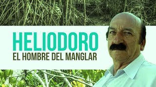 HELIODORO SÁNCHEZ  EL HOMBRE DEL MANGLAR DOCUMENTAL [upl. by Atnohs]