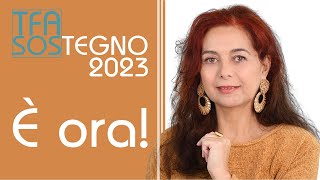 TFA sostegno 2023 3 motivi per mettersi a studiare ora [upl. by Vanda]