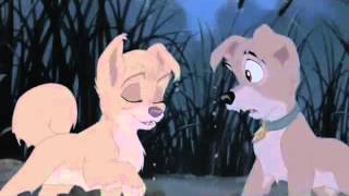 Lady And The Tramp 2 Music Video Kissin You [upl. by Ihab228]