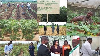 Status of Agricultural Biotechnology in Nigeria  Rose Gidado [upl. by Procter]