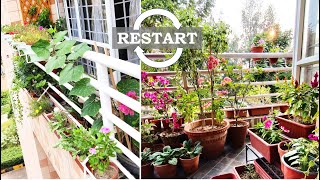 Restart  Balcony Gardening [upl. by Westley]