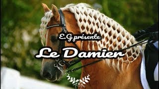 🎀 Coiffure crinière cheval  le damier 🎀 [upl. by Aneram881]