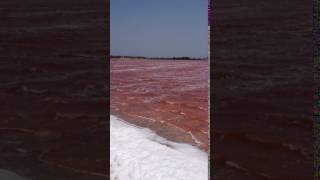 Lac Rose Cap Vert Senegal [upl. by Panthia]