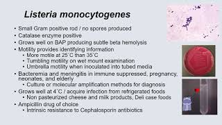 Bacteriology II  Dr Morgan Cedars Sinai MICROBIOLOGY [upl. by Ocirnor402]