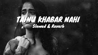 TAINU KHABAR NAHI  Slowed amp Reverb [upl. by Masry]