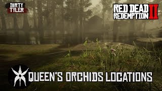 All Queens Orchid Locations Red Dead Redemption 2 RDR2 [upl. by Gambell700]