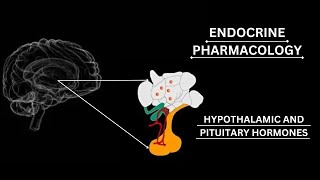 GonadotropinReleasing Hormone GnRH  AGONISTS AND ANTAGONISTS pharmacology katzung lippincot [upl. by Arodoeht47]