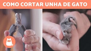 COMO CORTAR UNHA DE GATO 🐱 passo a passo simples [upl. by Oderfigis]