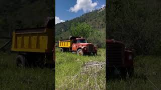 Old Truck Put Out To Pasture  Ridgway CO [upl. by Arotal]