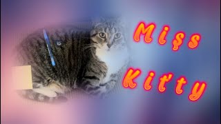 Miss Kitty some moreee [upl. by Parrish]