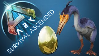 So TAMINT ihr ein HESPERORNIS und bekommt Ihr GOLDENE EIER  EGGS TUTORIAL  ARK ASCENDED [upl. by Yovonnda]