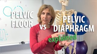 Pelvic Floor vs Pelvic Diaphragm explained by Core Pelvic Floor Therapy [upl. by Missi271]