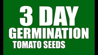 Tomato Seeds 3 Day Germination GrowLikeAPro [upl. by Georgeta678]