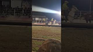 Whittlesea Rodeo 2024 steer wrestling steerwrestling rodeo australia cowboy [upl. by Anaitsirc]