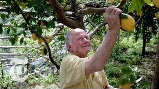 A Legacy of Lemons on the Amalfi Coast  2013  The New York Times [upl. by Etteyafal666]