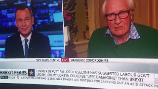 Heseltine finally completely loses it on Sky News [upl. by Richer]