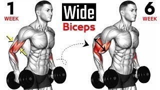 बाइसेप्स को चौड़ा कैसे करे how to widen biceps [upl. by Fenelia144]