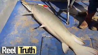 Robsons Extreme Fishing Challenge  US Texas  S01 E05  Reel Truth Documentaries [upl. by Suaeddaht]