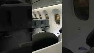 Quick Look Aeromexico Business Class 7878 [upl. by Esihcoc]