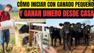 Cómo Iniciar con Ganado Pequeño y Ganar Dinero Desde Casa [upl. by Dutchman]