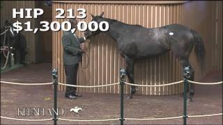 Keeneland November 2015  Hip 213  Sunset Glow [upl. by Gayler]