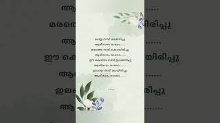 Manne nambi adios amigo song lyrics lyrics malayalamlyrical dabzee [upl. by Pacian]