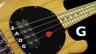 Bass Tuner  Standard Bass Tuning E A D G 4 Strings [upl. by Hachmin404]