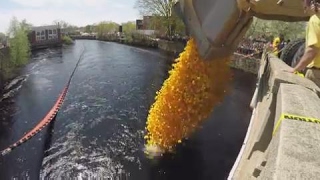 19th annual Pawcatuck River Duck Race [upl. by Bee]